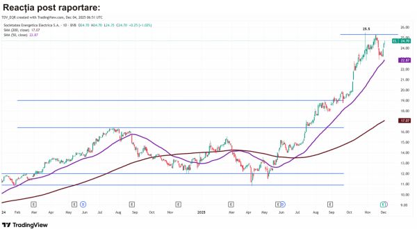 TradeVille: Electrica - disciplină financiară pentru menţinerea performanţei